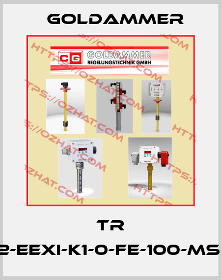 TR 12-EExi-K1-0-FE-100-MS-I Goldammer