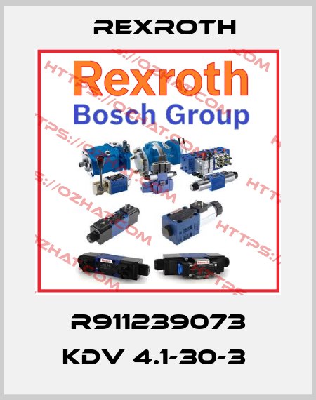 R911239073 KDV 4.1-30-3  Rexroth