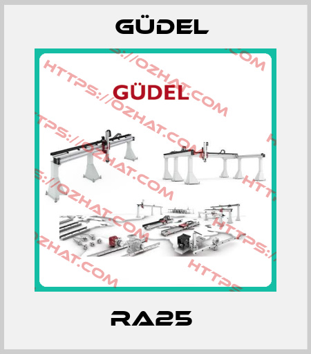 RA25  Güdel