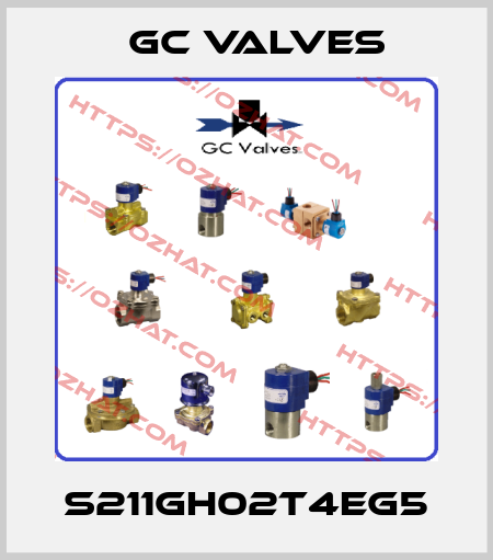 S211GH02T4EG5 GC Valves