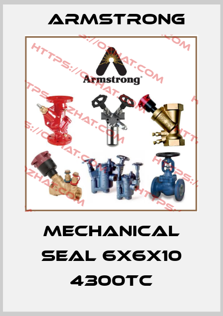 MECHANICAL SEAL 6x6x10 4300TC Armstrong