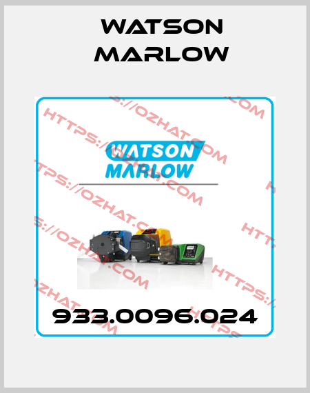 933.0096.024 Watson Marlow