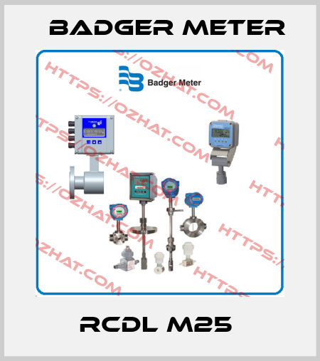 RCDL M25  Badger Meter