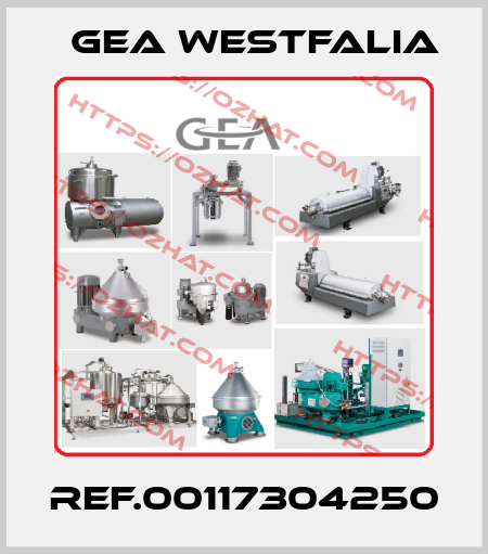 REF.00117304250 Gea Westfalia