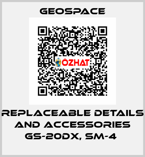 REPLACEABLE DETAILS AND ACCESSORIES GS-20DX, SM-4  GeoSpace