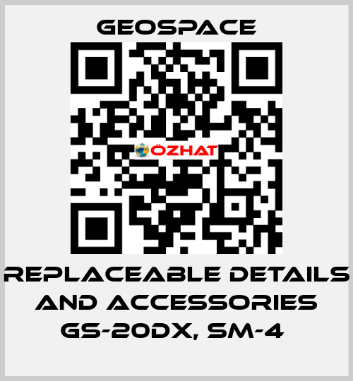 REPLACEABLE DETAILS AND ACCESSORIES GS-20DX, SM-4  GeoSpace