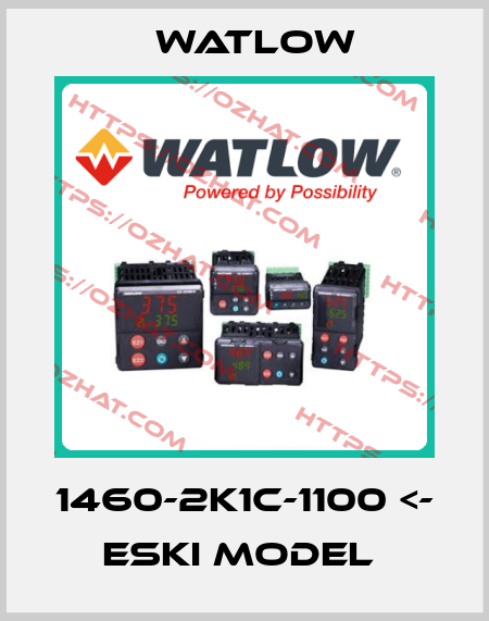 1460-2K1C-1100 <- ESKI MODEL  Watlow