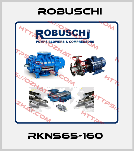 RKNS65-160  Robuschi