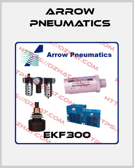 EKF300 Arrow Pneumatics