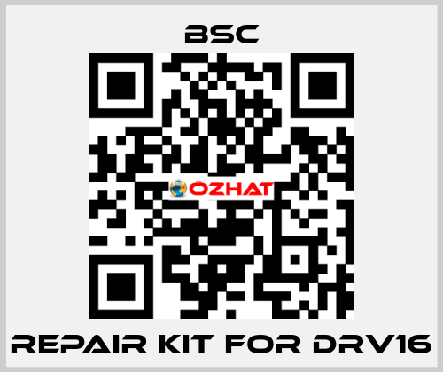 repair kit for DRV16 BSC