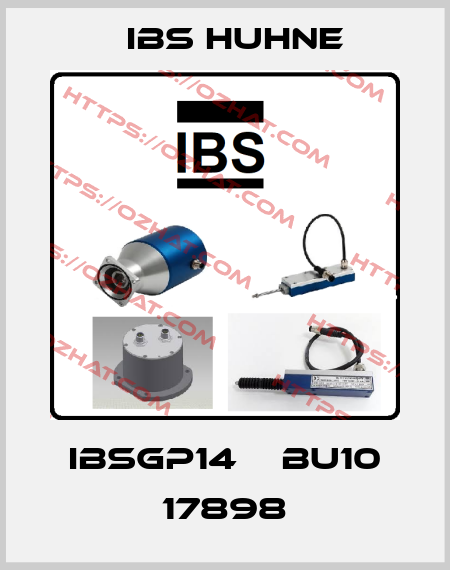 IBSGP14    BU10 17898 IBS HUHNE