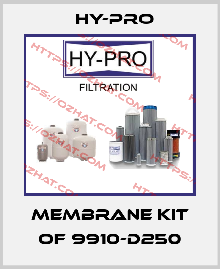MEMBRANE KIT OF 9910-D250 HY-PRO