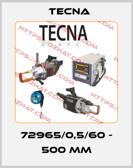 72965/0,5/60 - 500 MM Tecna