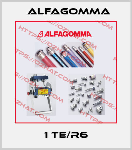 1 TE/R6 Alfagomma