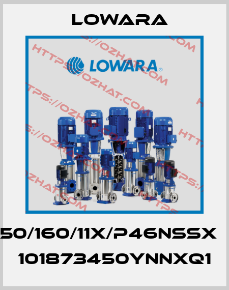ESHS50/160/11X/P46NSSX　code 101873450YNNXQ1 Lowara