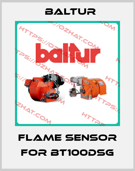 flame sensor for BT100DSG Baltur