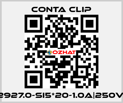 2927.0-SI5*20-1.0A|250V| Conta Clip