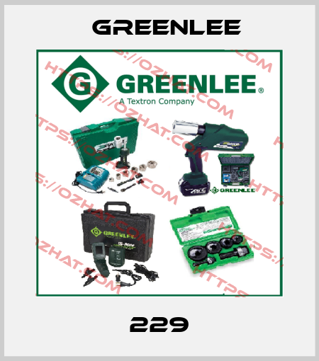 229 Greenlee
