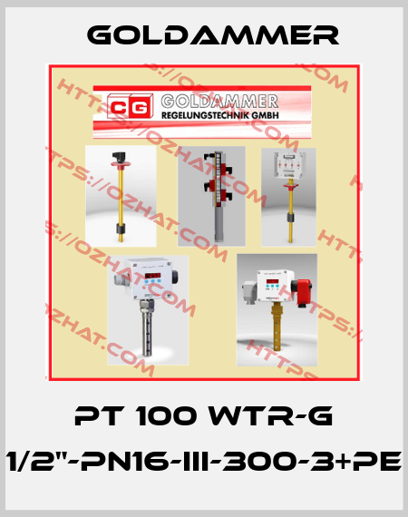 PT 100 WTR-G 1/2"-PN16-III-300-3+PE Goldammer