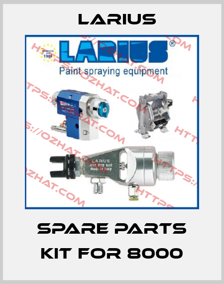 spare parts kit for 8000 Larius