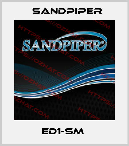 ED1-SM  Sandpiper
