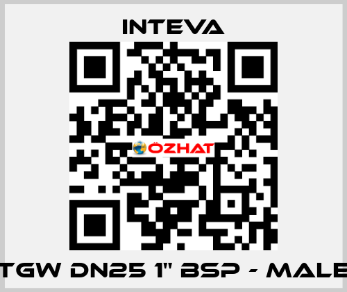 TGW DN25 1" BSP - male Inteva