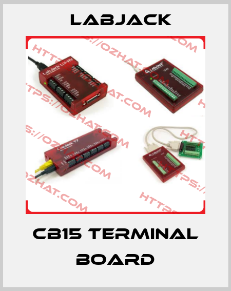 CB15 Terminal Board LabJack