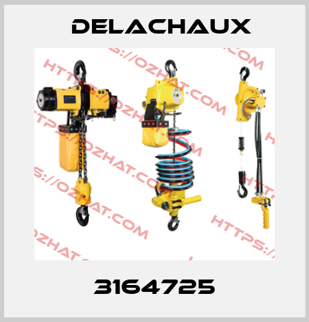3164725 Delachaux