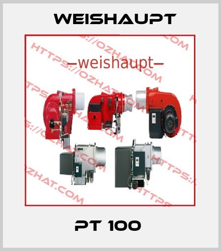  PT 100  Weishaupt