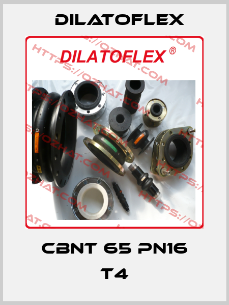 CBNT 65 PN16 T4 DILATOFLEX