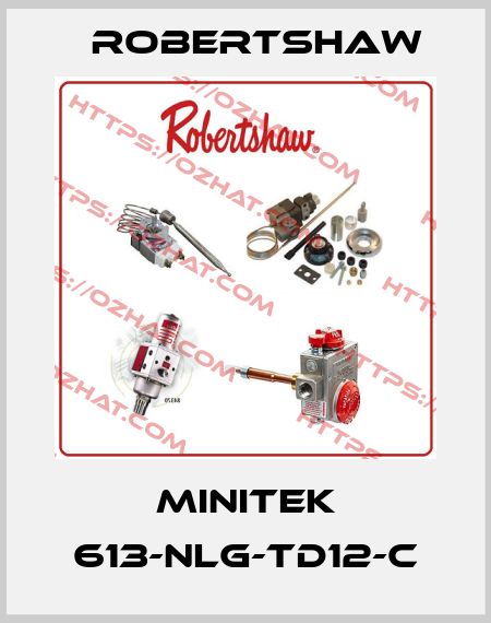 MiniTek 613-NLG-TD12-C Robertshaw