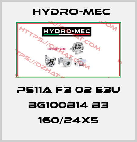 P511A F3 02 E3U BG100B14 B3 160/24x5 Hydro-Mec
