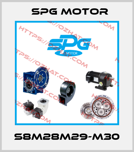 S8M28M29-M30 Spg Motor