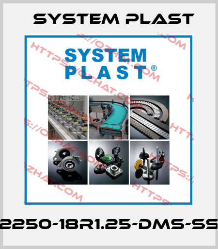 2250-18R1.25-DMS-SS System Plast