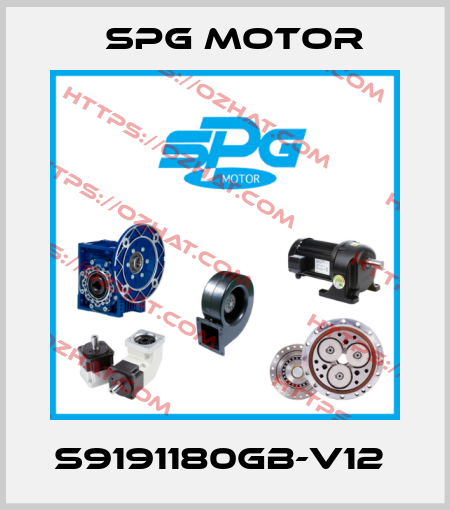 S9191180GB-V12  Spg Motor