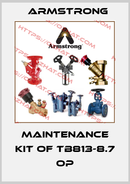 Maintenance kit of TB813-8.7 OP Armstrong