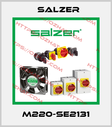 M220-SE2131 Salzer