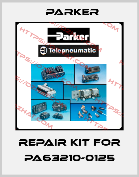 repair kit for PA63210-0125 Parker