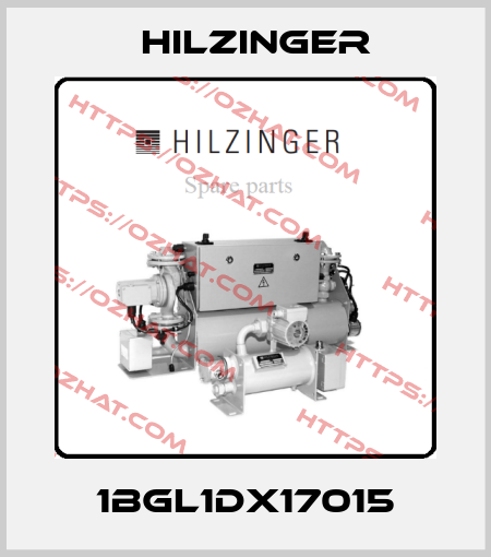 1BGL1DX17015 Hilzinger