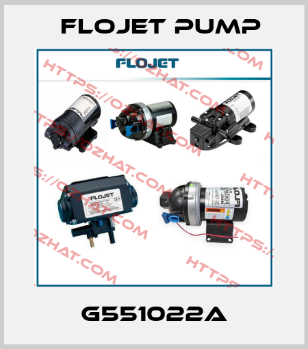 G551022A Flojet Pump