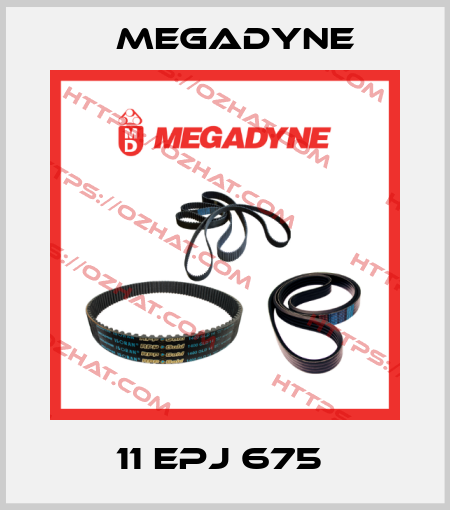 11 EPJ 675  Megadyne