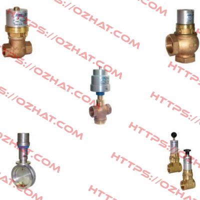 ball valves (DN10 and DN15) for Z300201 Valvaut