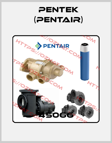 45066 Pentek (Pentair)