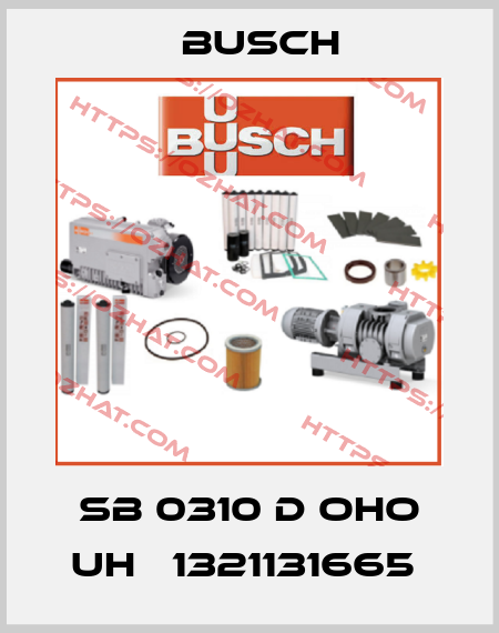 SB 0310 D OHO UH   1321131665  Busch
