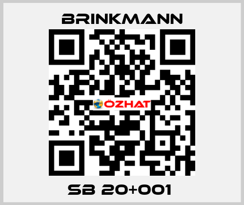 SB 20+001  Brinkmann