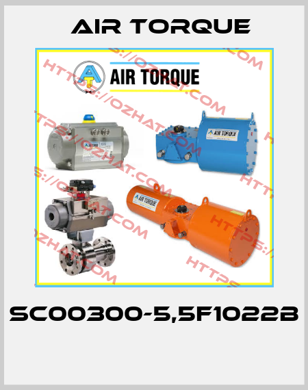 SC00300-5,5F1022B  Air Torque