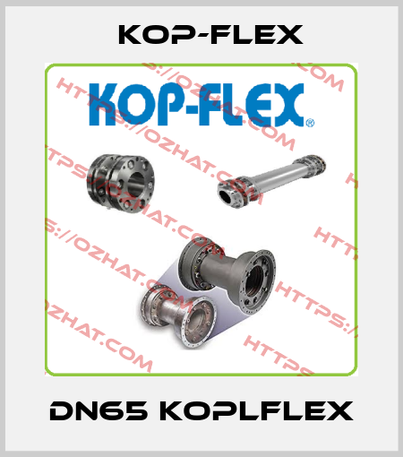 DN65 Koplflex Kop-Flex