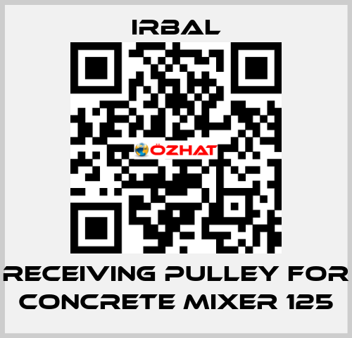 receiving pulley for Concrete mixer 125 irbal