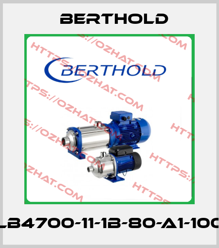 LB4700-11-1B-80-a1-100 Berthold