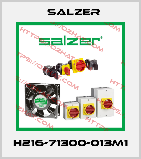 H216-71300-013M1 Salzer